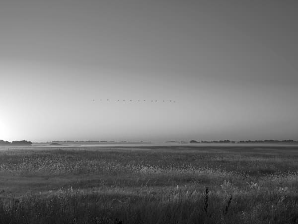 Fall Flyway