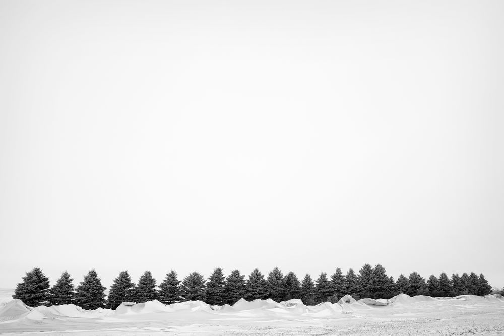 Treeline With Snirt Photography Art | colby lysne {art}