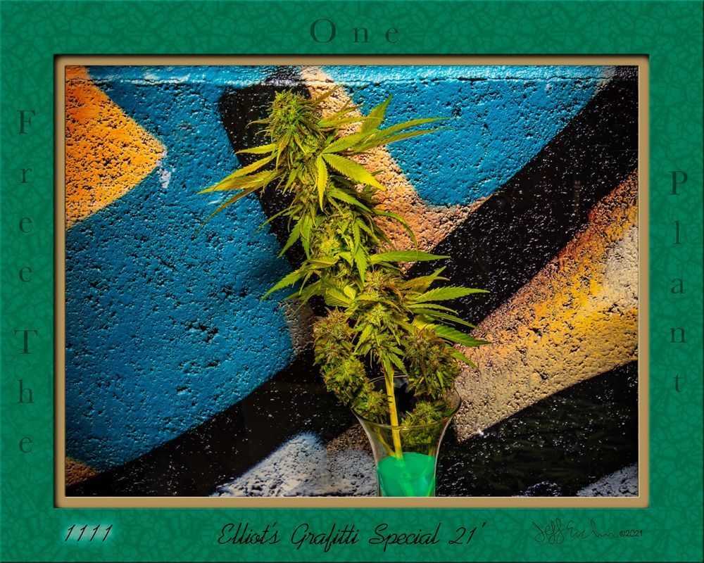 Elliot S Grafitti Special 21 Grn Smoothie Frame Copy Photography Art | Jeffrey Eichen