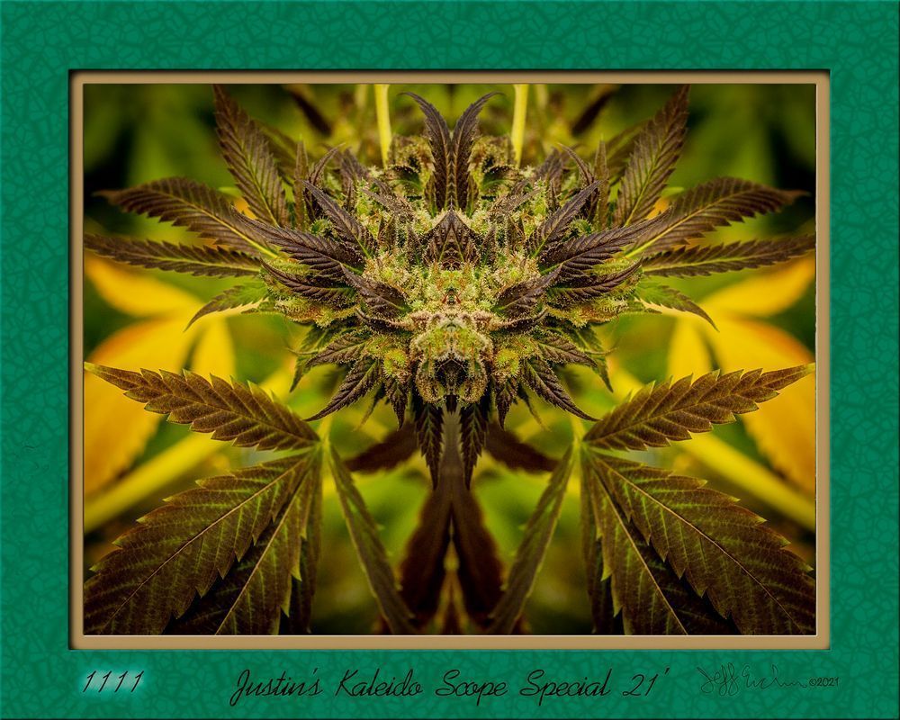 Justinss Kaleido 16x20 Photography Art | Jeffrey Eichen