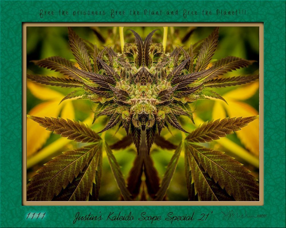 Justin's Kaleido