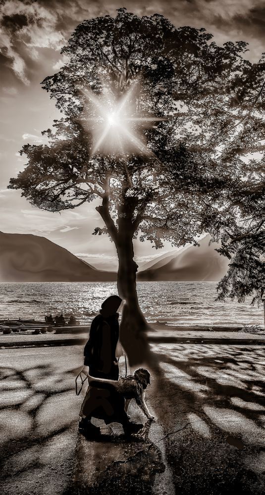 Lake Crescent I Phone 01 B W Photography Art | Jeffrey Eichen