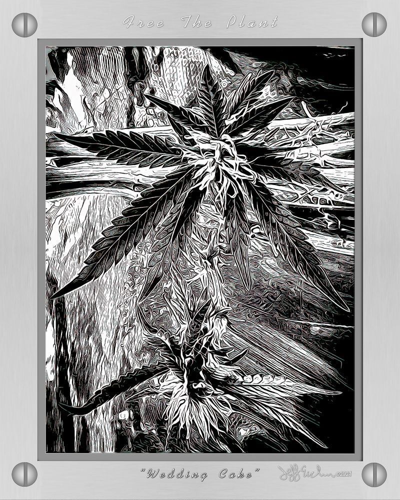 Wedding Cake Toon 01 Stainless 16x20 Print Photography Art | Jeffrey Eichen