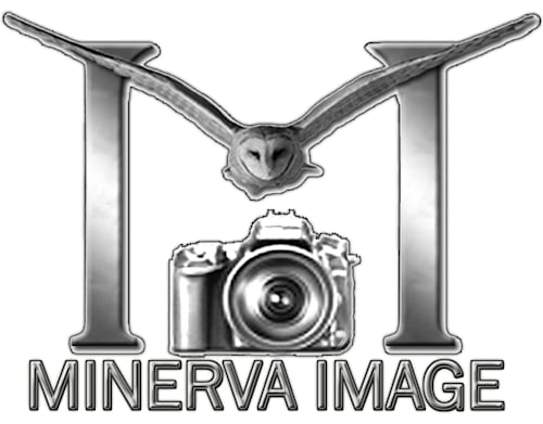 chrisminerva