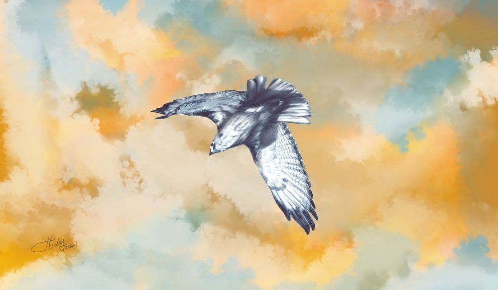 Soaring Falcon
