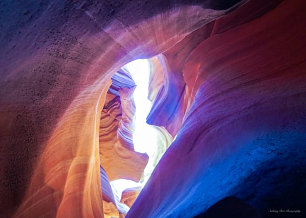American Southwest 