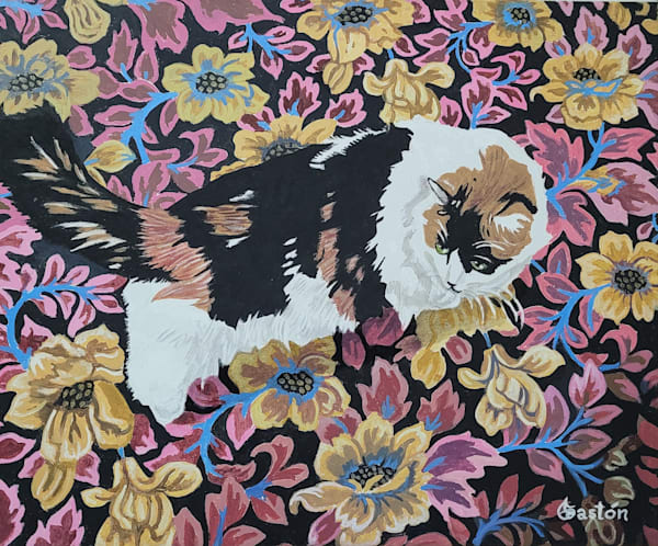 The Cat That Lives At The Bronxwood Nursing Home Art | Gaston Graphics - Fine Art