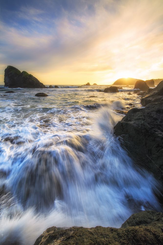 Splish Splash 