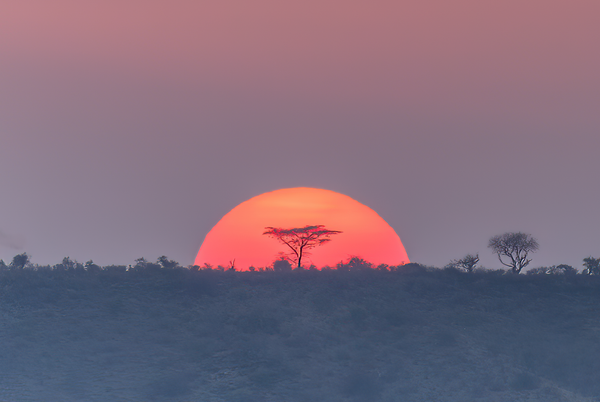 Good Morning Photography Art | Kim Clark