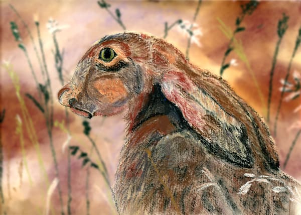 Wildlife