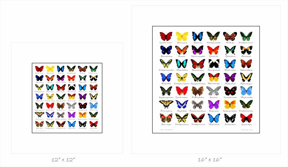 Butterfly Chart Art | Insectworks.com