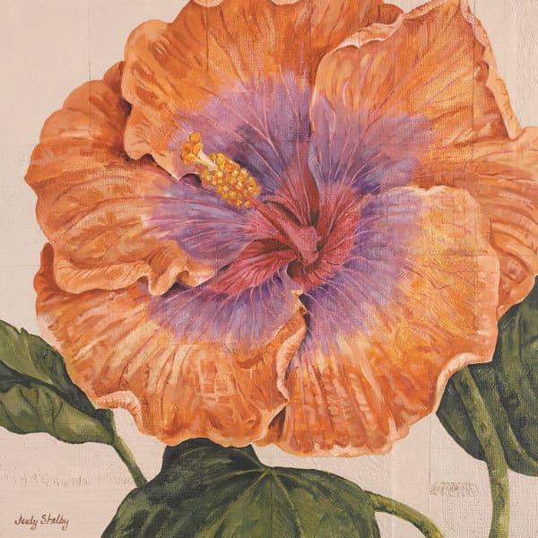 Island Hibiscus II