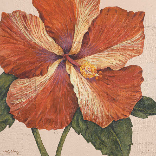 Island Hibiscus I