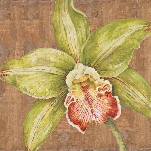Aloha Beauty II