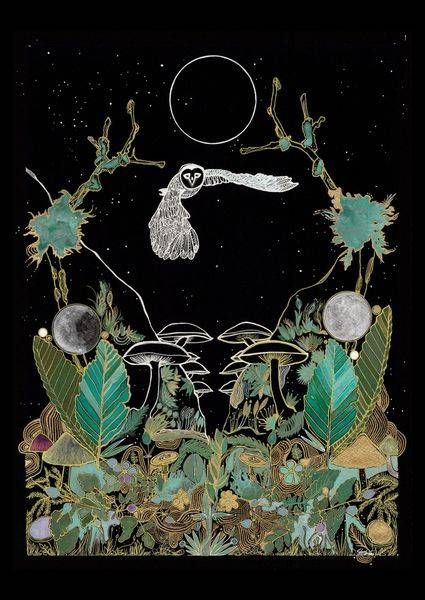 The Owl Color Postcard Art | Gango Custom Printing