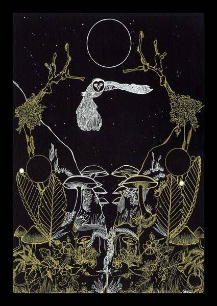 The Owl Postcard Art | Gango Custom Printing