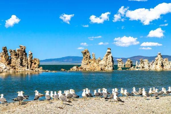 Tufas at Mono Lake 25