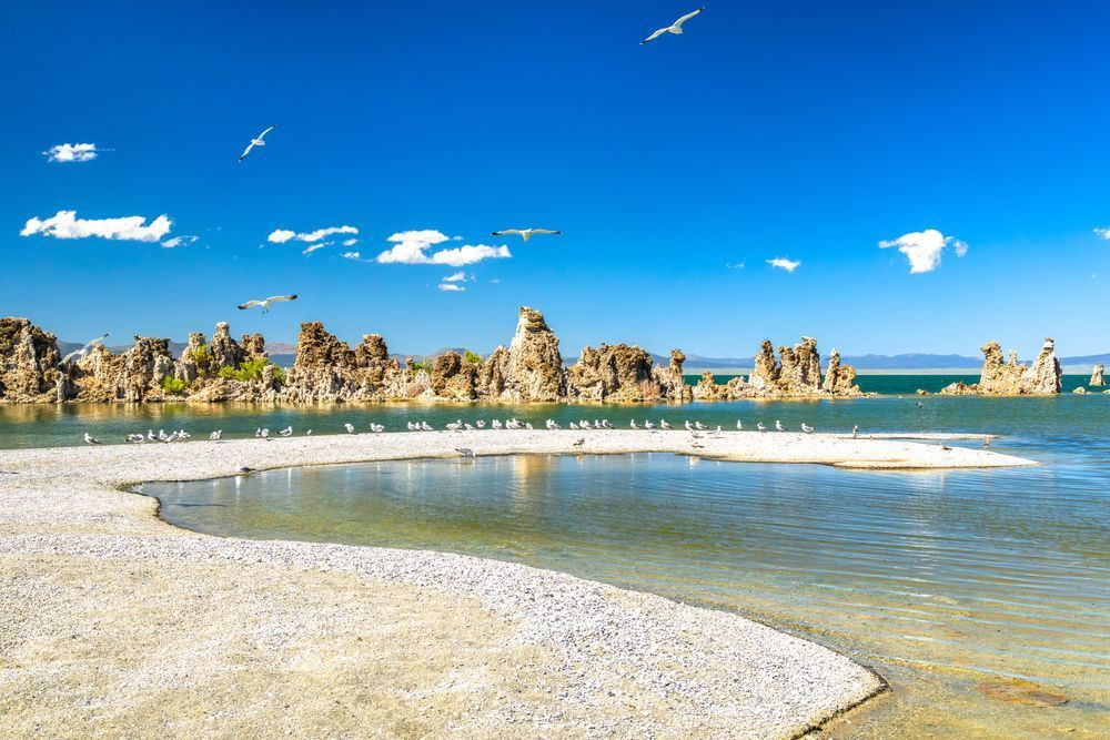 Tufas at Mono Lake 24