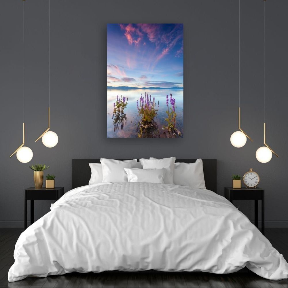 Tahoe Lupine at Sunrise 4 fine art print in bedroom