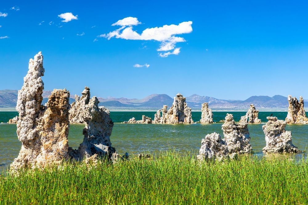 "Tufas at Mono Lake 23" - Tufa formations of varying sizes dot the shoreline and shallow waters of Mono Lake at the South Tufa area near Lee Vining, California, in the Eastern Sierra. Lush green grasses line the foreground, with the aqua-green lake, distant mountains, and a bright blue sky beyond — one of California's most iconic and otherworldly natural landscapes.