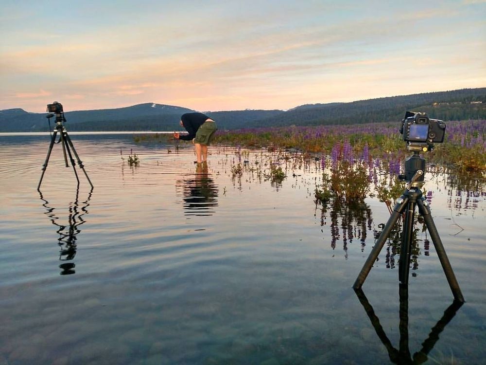 Behind the scenes at Lake Forest Beach, North Shore Lake Tahoe