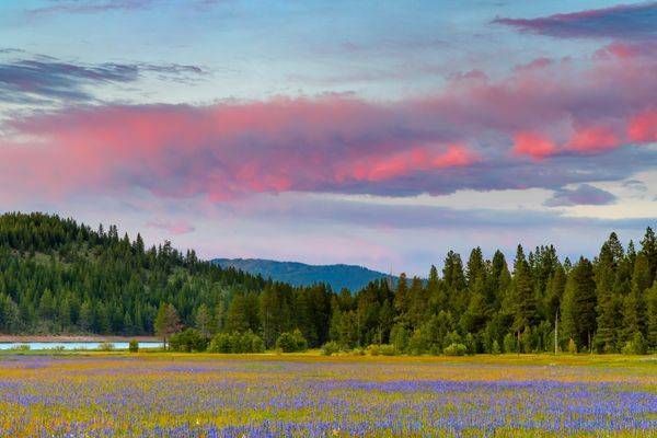 Sagehen Meadows Sunset 12 Photography Art | Scott Shots Photography
