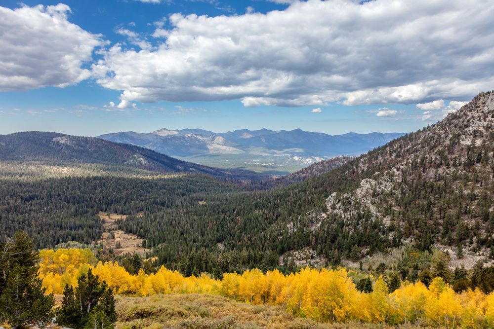 Backcountry in the Fall 1