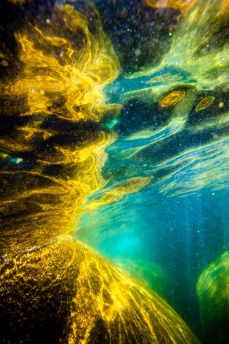 Mdawmdawmdawmdaw7qgraepd6cacehr zcfbfywxu2fyveayeunrgwctqqqltnerwweter6yomfiojy24adow ljj7f22f2vd2s3k0fn 38ezqodftc2xeuhdjufahdziomokxodj3hs jg da6ji5eudq olwagpj5emn5ae2ieatbje2k arjy pr0fi9gszp29oqhovtbgesdm8qghqhihw5oreb6e tskincylh9d6oyub0c rvgfqf65mz0hnt90l8zzy08vfo3mc6uw9keawgv8x8chsnrgekhz m0ruwtbedi4rfvmzws8x8y2t64qackeidsmzmfize