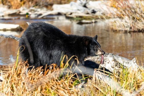 Mdawmdawmdawmdaw7qgraepd6cacehr zcfbfywxu2fyveayeunrgwctqqqltnerwweter6yomfiojy24adow ljj7f22f2vd2s3k0fn 38ezqodftc2xeuhdjufahdziomokxodj3hs jg da6ji5eudq olwagpj5emn5aehyrzeztbvyywbdj1fhzdihqzjfu7i4hdpirk7dcmnezx7zogq1gq 76f x31jlljb ziawhxwaj9ab crrn4sdpt2yc8ozydjajbkiv18uqx8rid2 f hmmidw9aeykz 86 figffsc r5qmdiy0cgsz1ghvbdrk83l1ciqgwmg