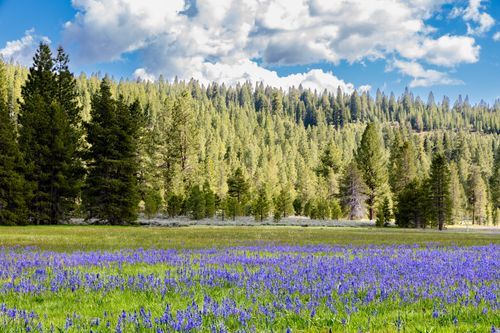 Mdawmdawmdawmdaw7qgraepd6cacehr zcfbfywxu2fyveayeunrgwctqqqltnerwweter6yomfiojy24adow ljj7f22f2vd2s3k0fn 38ezqodftc2xeuhdjufahdziomokxodj3hs jg da6ji5eudq olwagpj5emn5bdxctfezwfgk5zhfy4sdwkalgd6p46zg9upjrgrffg9hmmk5lfwllretxf uoidqzxr rcbc9tqgv4atsa7x85dslbhxdif4iejjutej5nmqqro8qdyuy xenmp zf0whe 1hs0e9ga1q7hrvflwyxe5s52ukg9dkzvzfxoapsg