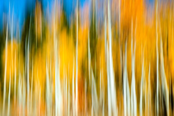 Autumn Abstract 7
