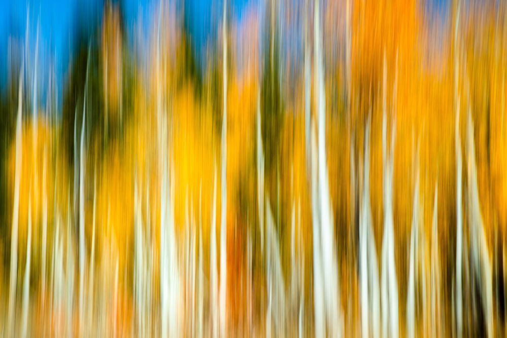 Autumn Abstract 7