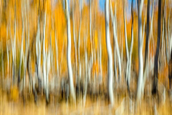 Tahoe Area Abstract Gallery