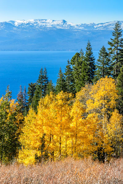 Aspens Above Lake Tahoe 24