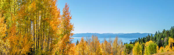 Aspens Above Lake Tahoe 17
