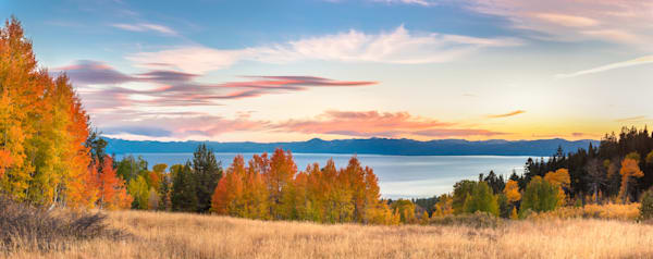 Aspens Above Lake Tahoe 4