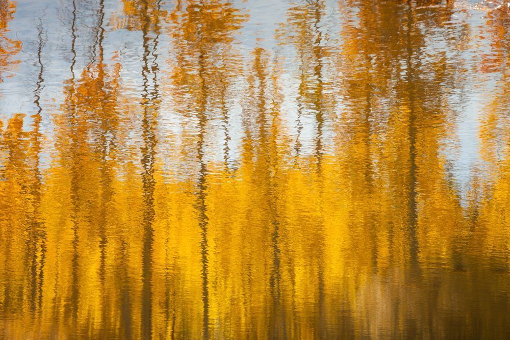 Aspen Reflections 3