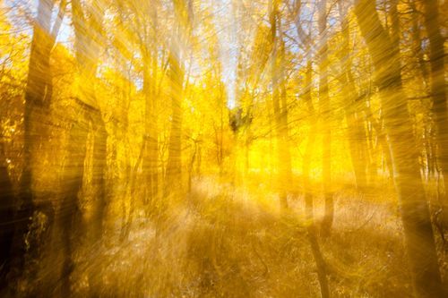 Mdawmdawmdawmdaw7qgraepd6cacehr zcfbfywxu2fyveayeunrgwctqqqltnerwweter6yomfiojy24adow ljj7f22f2vd2s3k0fn 38ezqodftc2xeuhdjufahdziomokxodj3hs jg da6ji5eudq olwagpj5emn5dz22xyozwfgksdrnz mzbhbt2syny 48nepiok71nmtr9xlzogq5oqud7f x11jlljb ziawhxwaj9ab crrn4sdpt2yc8ozydjajbkiv18uqx8rid2 f hmmidw9aeykz 86 figffsc r5qmdiy0cgalt jlww7ypmaztwfxk i