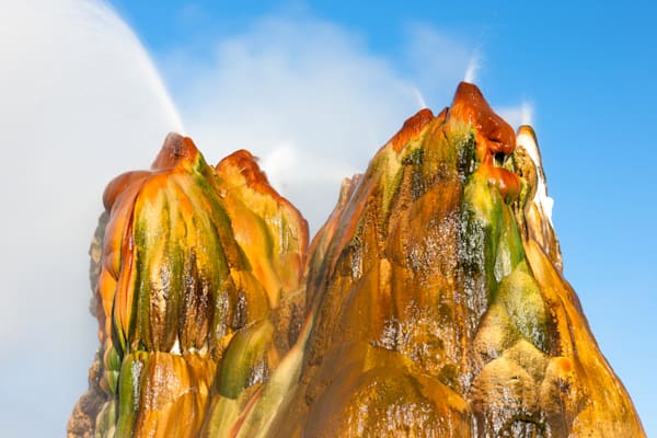 Fly Geyser 7