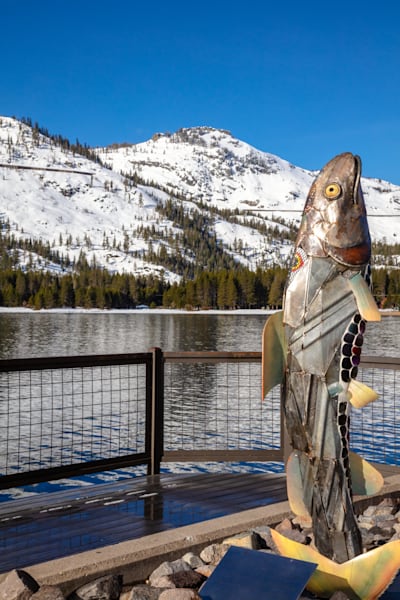 Fish Art at Donner Lake 1
