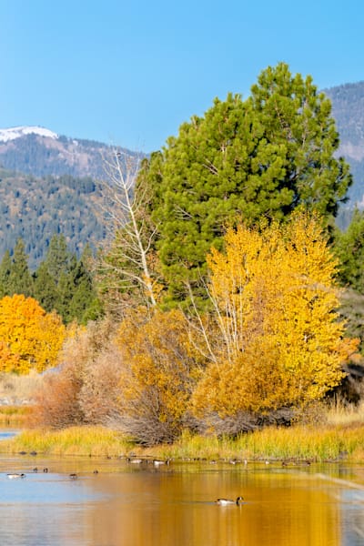 Glenshire Pond in Autumn 1