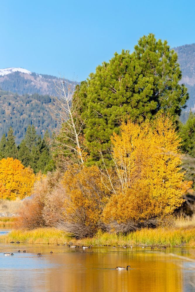 Glenshire Pond in Autumn 1
