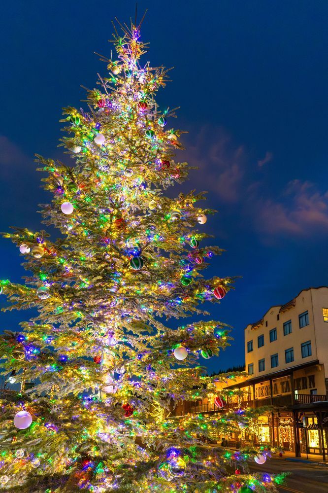 Downtown Truckee 118