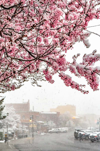 Downtown Truckee 132