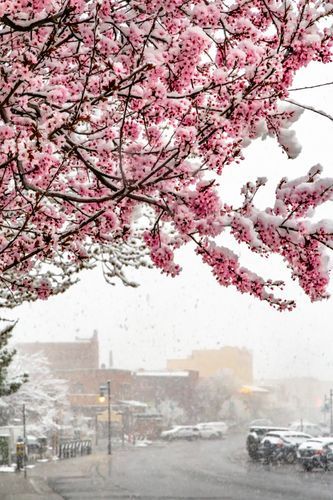 Mdawmdawmdawmdaw7qgraepd6cacehr zcfbfywxu2fyveayeunrgwctqqqltnerwweter6yomfiojy24adow ljj7f22f2vd2s3k0fn 38ezqodftc2xeuhdjufahdziomokxodj3hs jg da6ji5eudq olwagpj5emn5ge2qcetzmdmk dqne4cddkhu2jjfurivvdb6xregex4t n6pohba76rhrc e2ijjvmfuwcbyysgcv bqvjy5oqct1uz6ekb88fo8laki518 cw8puwwhhoszvwp  sxhlp 0s7xv5dnixwq19lg9zqmihnmwhn3pq3a