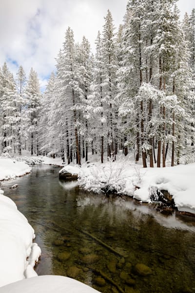 Donner Creek 2