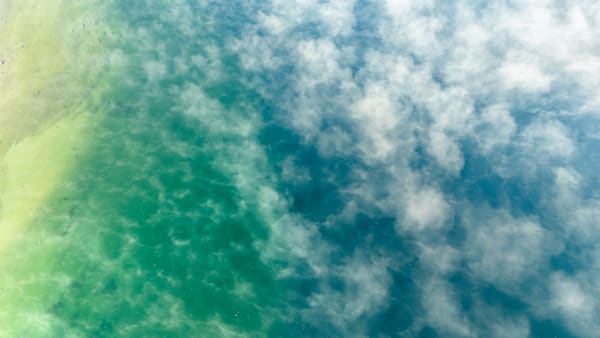 Donner Lake Aerial 16