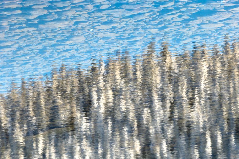 Donner Lake Surface Abstract 2