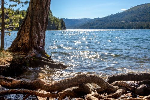 Mdawmdawmdawmdaw7qgraepd6cacehr zcfbfywxu2fyveayeunrgwctqqqltnerwweter6yomfiojy24adow ljj7f22f2vd2s3k0fn 38ezqodftc2xeuhdjufahdziomokxodj3hs jg da6ji5eudq olwagpj5emn5ge3oca8holfybyilv5crmbbs0sav65pgtb ivq 4twit maxiafqh ftlbagwmt1ijpktbrcnvweu4uu3rk4x6npotgycife5eos4vew3nckqvcvid3nipczjzmqgrgh5deuj6hu0lpkrkft6ivnwwutsxhcau5ab