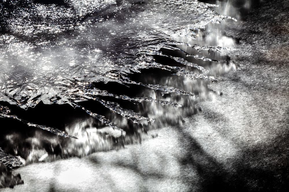 Iced Over Alder Creek 7